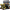 Image pixelated