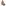 Image pixelated