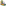 Image pixelated